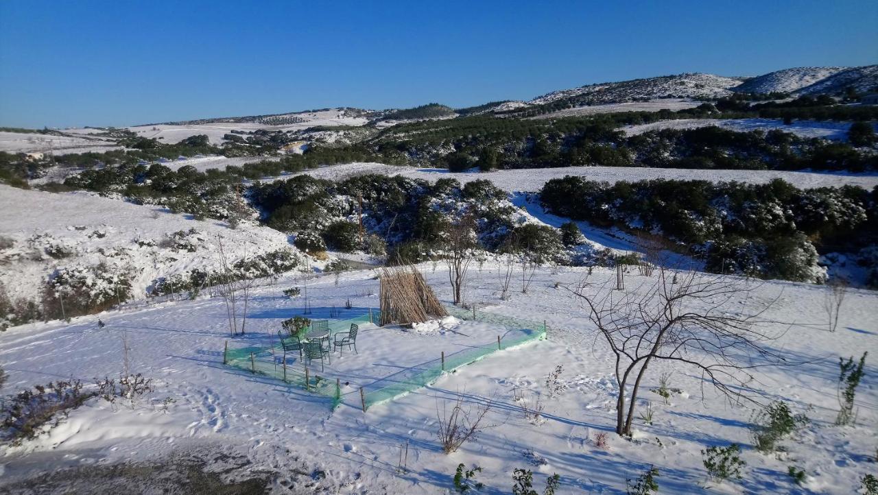 Daniil'S Luxury Villa And Spa Agios Antonios  Buitenkant foto